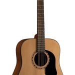 GUITARRA WASHBURN TEXANA    AD5