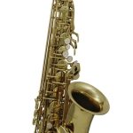 SAXOFON ROY BENSON   MOD. AS-202