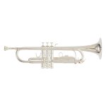 TROMPETA ROY BENSON C/ESTUCHE   TR-202S